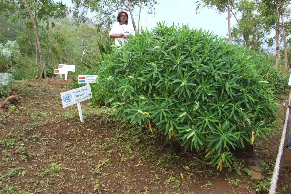 A UNDP project in Cape Verde.