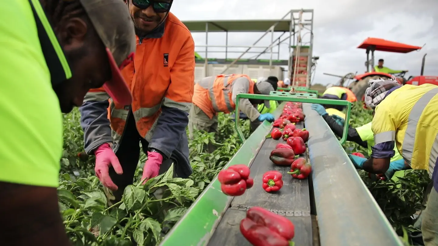 Australia can and should provide a lead in the Pacific region in advancing new policies to work with partners to enhance outcomes for the region, using the vehicles of skilling and labour mobility.