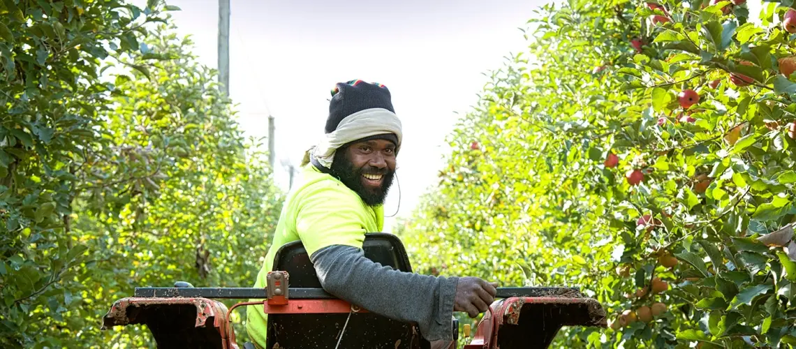 Under the Rudd government a pilot scheme for up to 2,500 seasonal workers per year from Kiribati, PNG, Tonga and Vanuatu was implemented. The scheme was made permanent in 2012 as the Seasonal Worker Program (SWP).