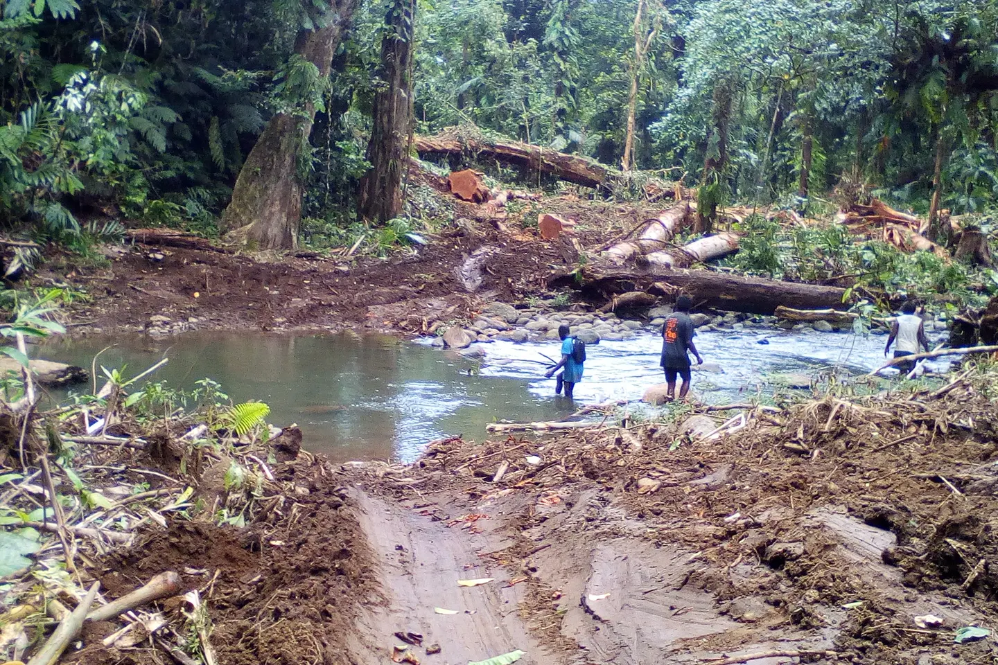 The decision will impact logging companies’ responsibilities and in particular residents of villages who are not primary landowners.