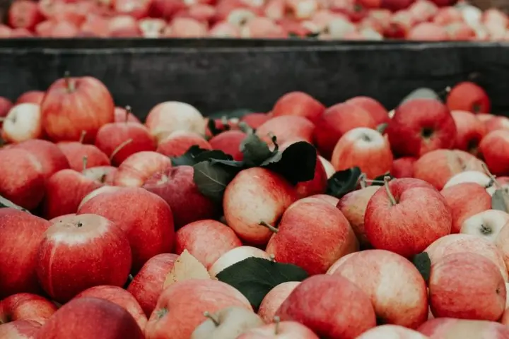 The total estimated seasonal workforce needed for horticulture for the spring and summer harvest season ahead could be up to 40,000 workers, based on the previous demand for seasonal workers over that period.
