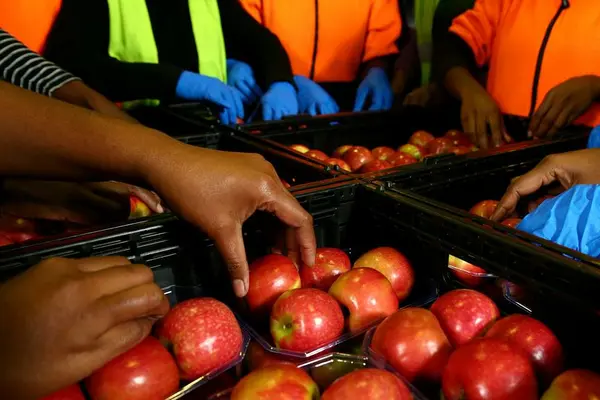 "This is good for both families and the country as a whole moving forward hence, I extend my hearty appreciation to the Government and people of Australia."