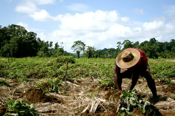 One of the main objectives of the Constituency Development Funds (CDF) is to assist individuals, families, and community-based organizations to participate in socio-economic developments to help alleviate poverty within the rural areas.
