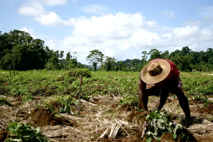 One of the main objectives of the Constituency Development Funds (CDF) is to assist individuals, families, and community-based organizations to participate in socio-economic developments to help alleviate poverty within the rural areas.