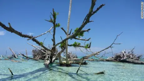 Lead negotiator for Solomon Islands, Dr. Melchior Mataki said Solomon Islands, and the Pacific, want greater commitments from bigger polluters to reduce emissions, a new climate finance goal and greater support to help poorer countries.