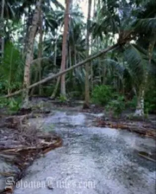 Seawater flowing inland, seeping into plantations.