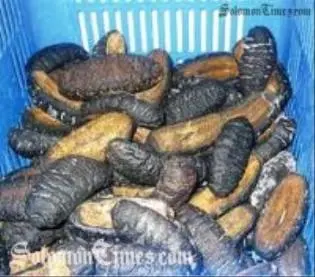 The Court found no evidence to link their intention to purchase and in possession of bechedemer for the purpose of export during the banned period.