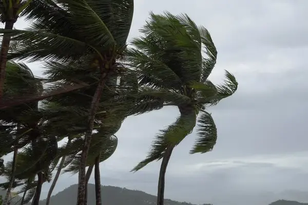 MET service says the strong wind is from an active trough that lies over the Solomon Islands and is linked to a tropical low located in the coral sea.