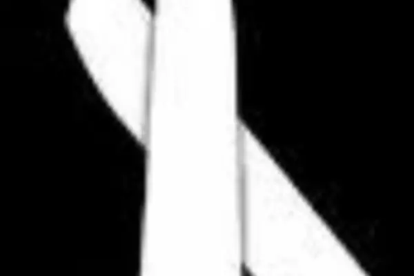 The White Ribbon Campaign begin on Wednesday with various campaigning activities expected over the following weeks.