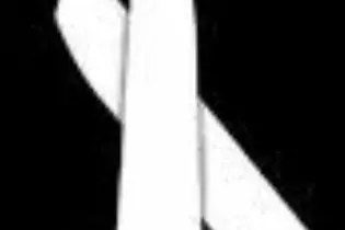 The White Ribbon Campaign begin on Wednesday with various campaigning activities expected over the following weeks.