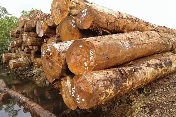 The estimated volume also decreased by 10.6% to 2.822 million cubic meters valued at approximately SBD$2.9 Billion.