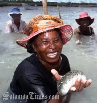 A remote fishing village in southern Madagascar which has sold its first batch of locally farmed sea cucumbers to Taiwan.