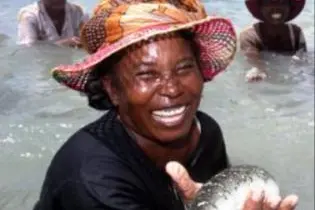 A remote fishing village in southern Madagascar which has sold its first batch of locally farmed sea cucumbers to Taiwan.