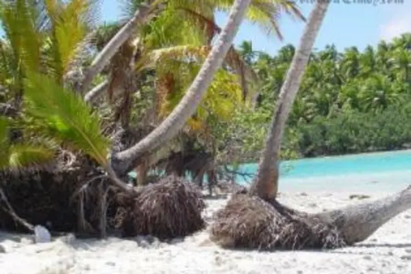 Along the shore in Aitutaki, Cook Islands.