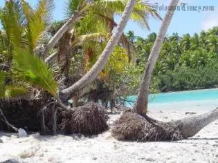 Along the shore in Aitutaki, Cook Islands.