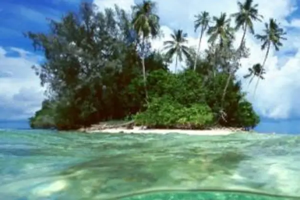 49 per cent of the 22,000 visitors to the Solomon Islands in 2011 were from Australia.