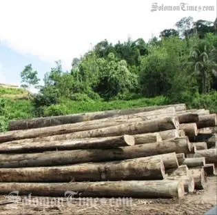The logging industry contributes well over 30% of the country's GDP.
