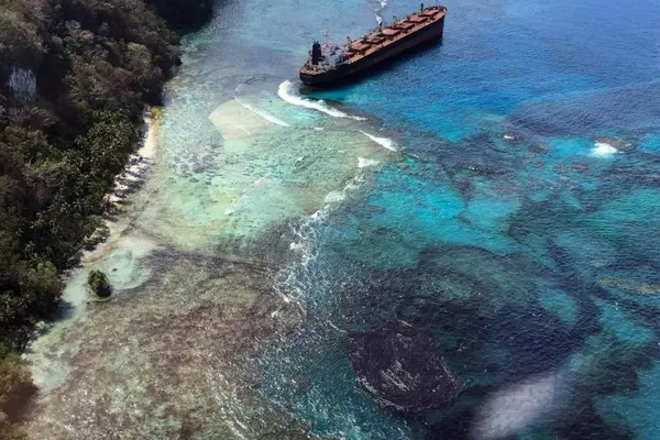 Media reports show a thick oily blanket of tar spreading over the beaches, rockpools, logs and leaves affecting human activity.