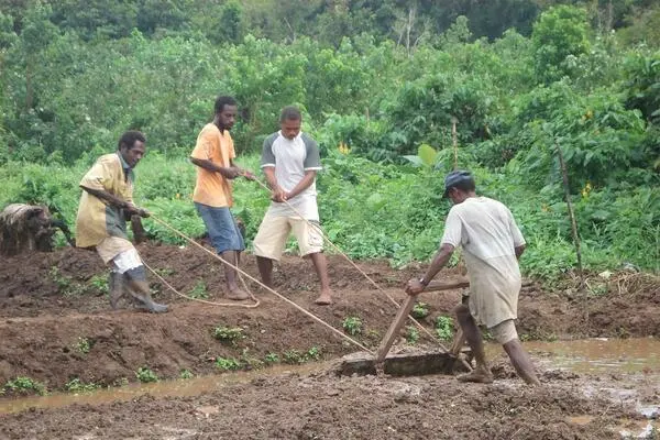 Expanded Production and Value Addition to Food Exports