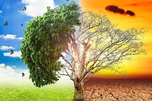 'Poetry is a powerful platform that has the potential to empower and build young climate leaders, and more importantly their resilience in their own respective schools, communities and the country as a whole.'