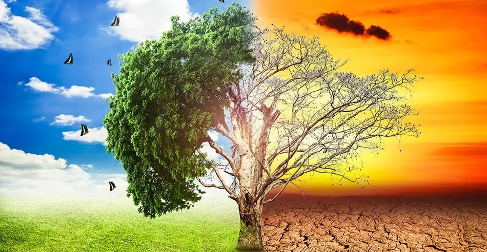 'Poetry is a powerful platform that has the potential to empower and build young climate leaders, and more importantly their resilience in their own respective schools, communities and the country as a whole.'