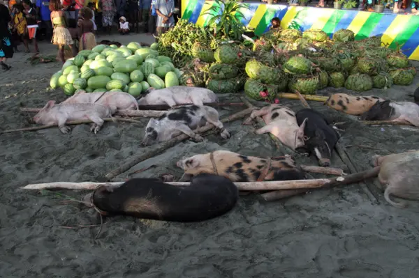 Supu – refers to a heap of uncooked food and live pigs – with reciprocal protocols that maintain community integrity.