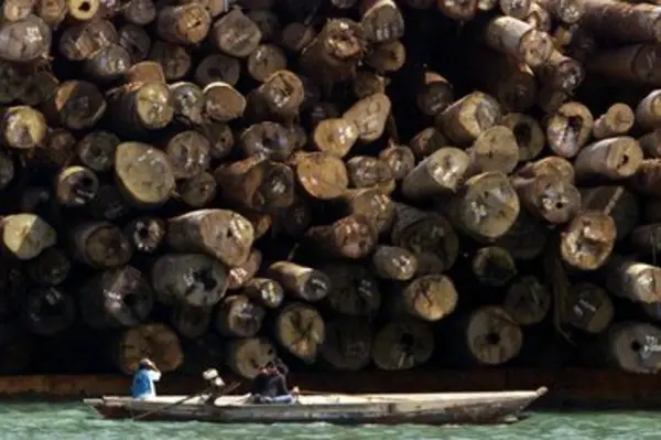 For decades, logging has played a central role for the economy of the Solomon Islands and with the recent serious effects of logging, the Government is now putting harsher measures.