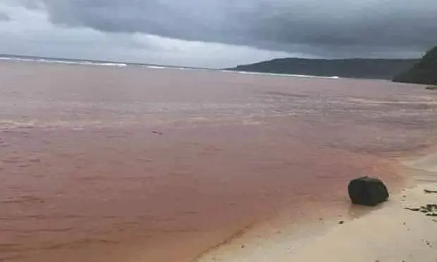 Experts say accidental spills of bauxite during the loading process could leave the ocean floor covered, making the water murky. This, in turn, could damage or kill corals that need sunlight to survive and attract fish the locals depend on for food.