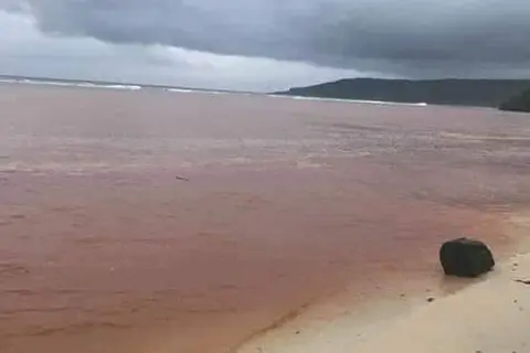 Experts say accidental spills of bauxite during the loading process could leave the ocean floor covered, making the water murky. This, in turn, could damage or kill corals that need sunlight to survive and attract fish the locals depend on for food.