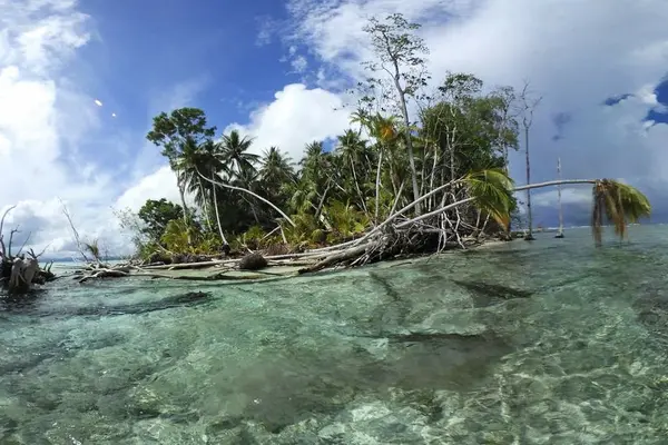 Being vulnerable to Climate Change, many Pacific nations have set ambitious targets for reducing their CO2 emissions by 2030 and transitioning to nearly 100% renewable energy sources.