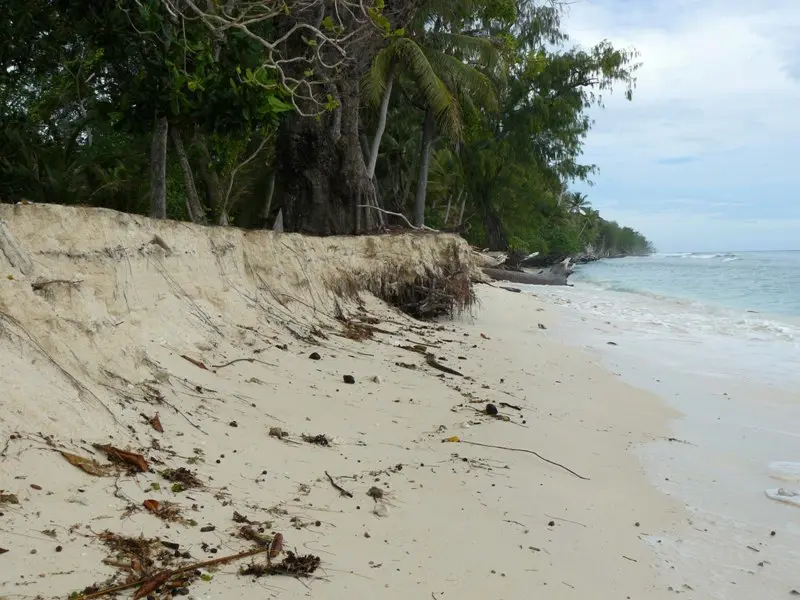 Climate Change Impacts Tracked by Satellite