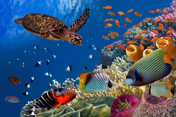 Detailing another legal approach, Silas Bule Melve, Minister for Climate Change of Vanuatu, pointed out that his country — as part of a coalition — is planning to ask the International Court of Justice for an advisory opinion on how existing international law contains protections for the oceans.
