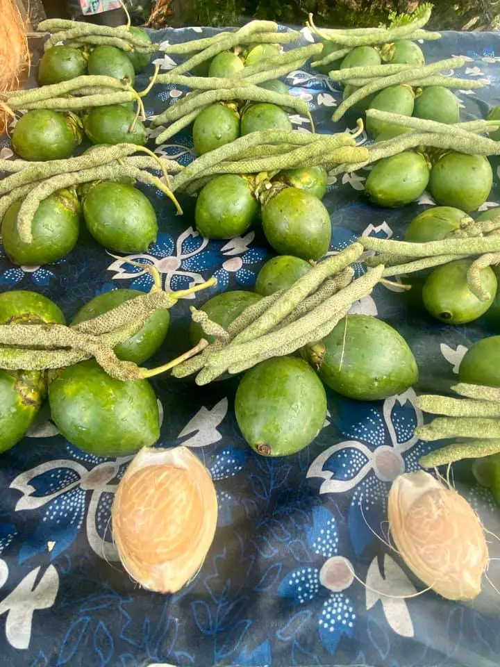 Initial reports said that the deceased climbed a tree to collect fruit leaf (korokua) for chewing betel nut when he fell.