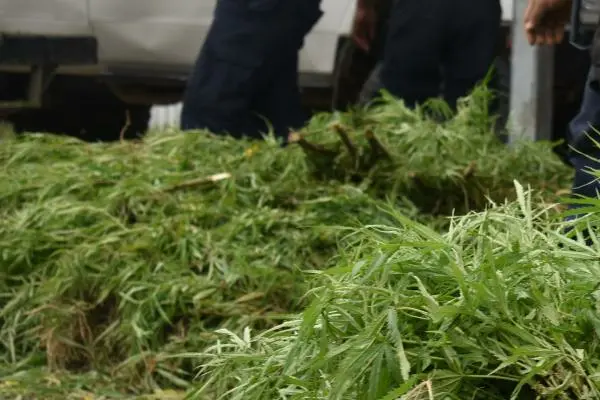 The rising prevalence of these substances has led to an increase in anti-social behavior and crime, prompting local leaders to seek stronger support from law enforcement.