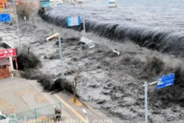 The devastating tsunami was triggered by a massive earthquake measuring 8.9 on the Richter scale.