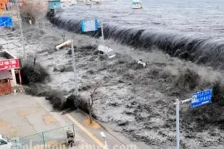 The devastating tsunami was triggered by a massive earthquake measuring 8.9 on the Richter scale.