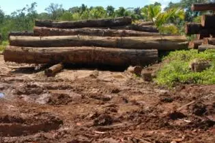Parliament saw fit to establish an Authority given the projected drop in the country's GDP if commercially valuable forests are logged out.