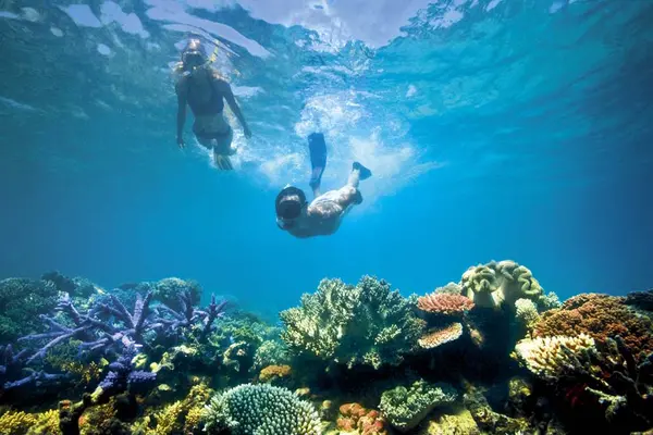Official figures released by the Solomon Islands National Statistics Office this week show a total of 16,381 visitors arrived across the period, 706 more than the 15,675 figure achieved last year.