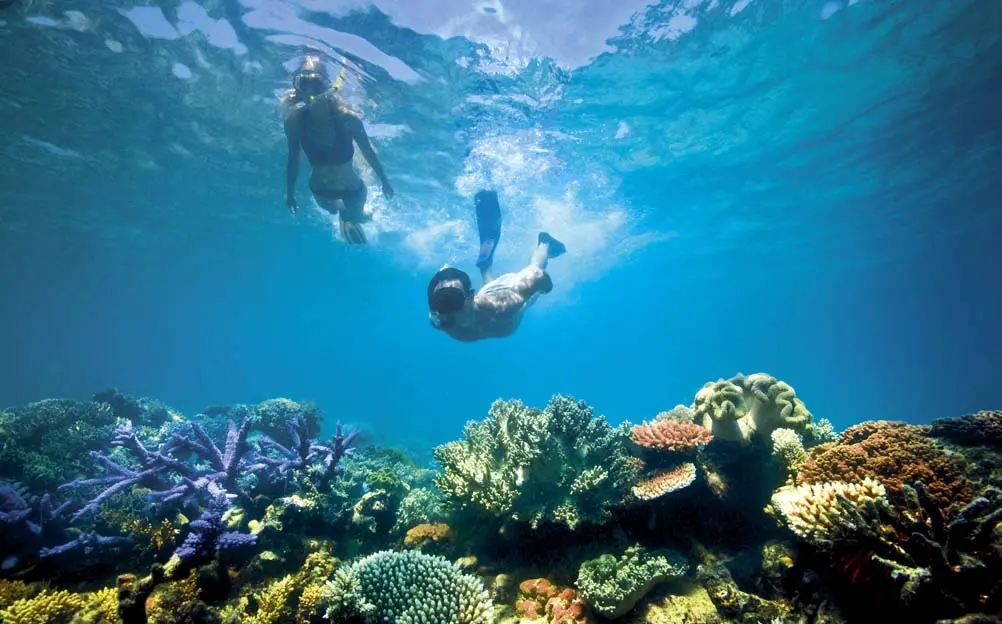 Official figures released by the Solomon Islands National Statistics Office this week show a total of 16,381 visitors arrived across the period, 706 more than the 15,675 figure achieved last year.