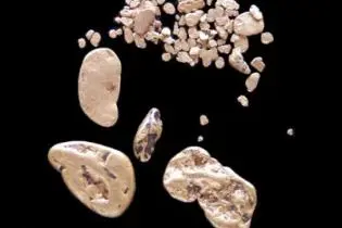 Phoenix International (SI) Limited says that it is specialised in alluvial gold mining, a form of mining that is friendly to the environment.