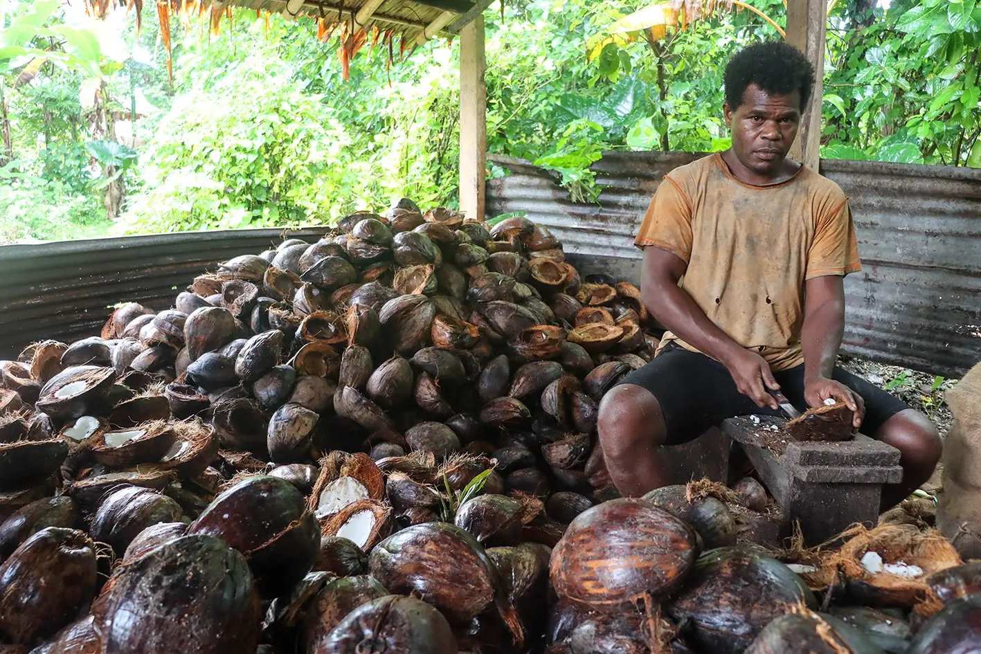 A farmer from the Ngalifasi Farmers Association, an ABPO in north Malaita supported by SIART.