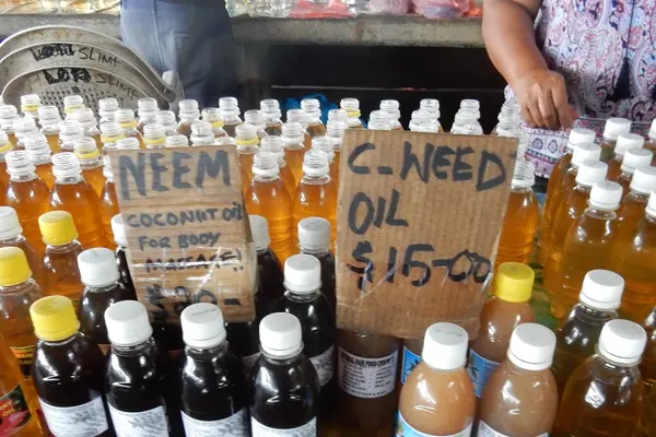 “Coconut oil saved me, gave me a future I never thought was possible, my children are in school, and I can look after them well,” Linda said, now beaming with pride at what she has achieved.
