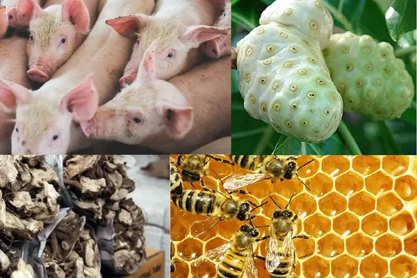 Approvals for milling, furniture, crops and vegetable farming is expected to be completed this week.