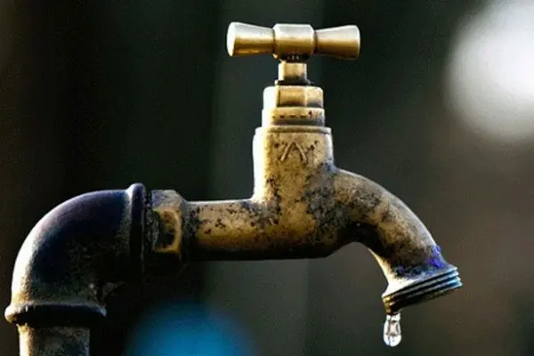 Despite Stop Order Illegal Logging Forces Water Shutdown
