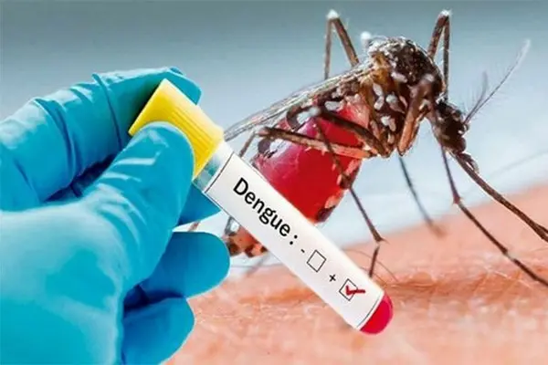 Prime Minister, Frank Bainimarama said Dengue was spread by mosquitoes which thrived in pools of still water that gathered after a storm.