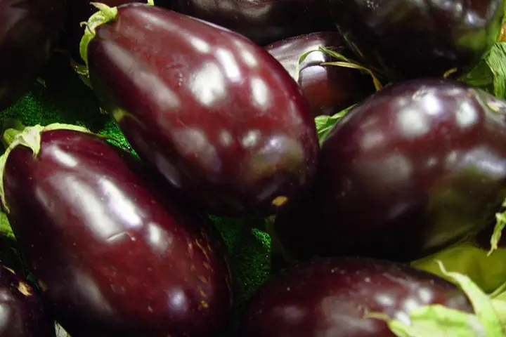 Eggplants, like many other vegetables, are good sources of dietary fiber, a necessary element in any balanced diet.