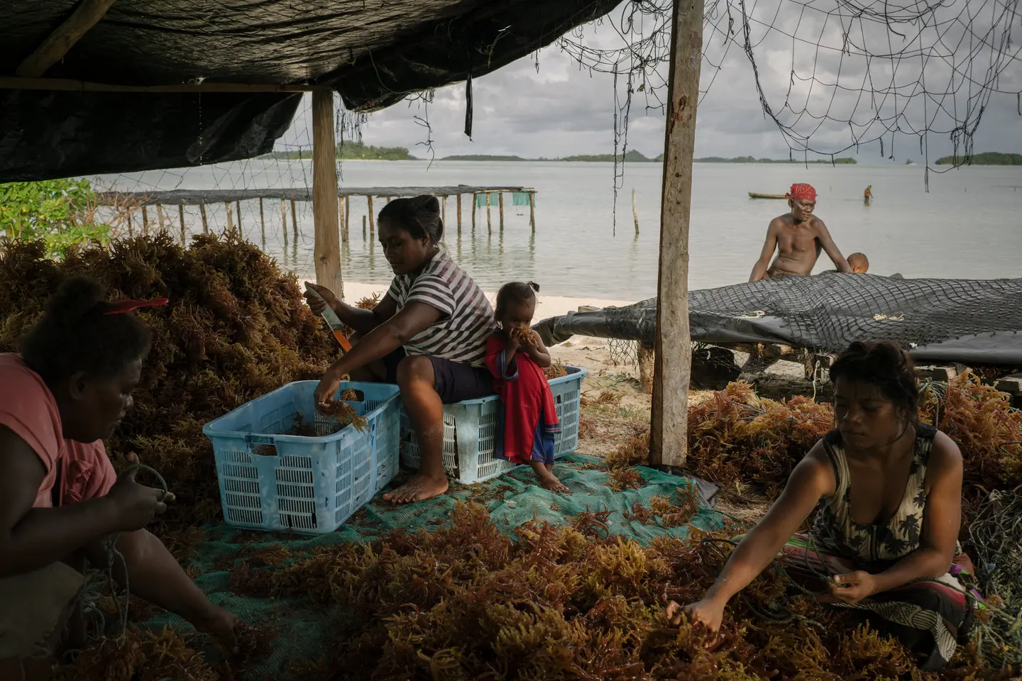 “People talk about these islands being vulnerable, and along with that they tend to treat the human beings as vulnerable, too,” said Dr.Simon Albert, University of Queensland in Australia. “But in my view, they’re the opposite — they’re strong and resilient."