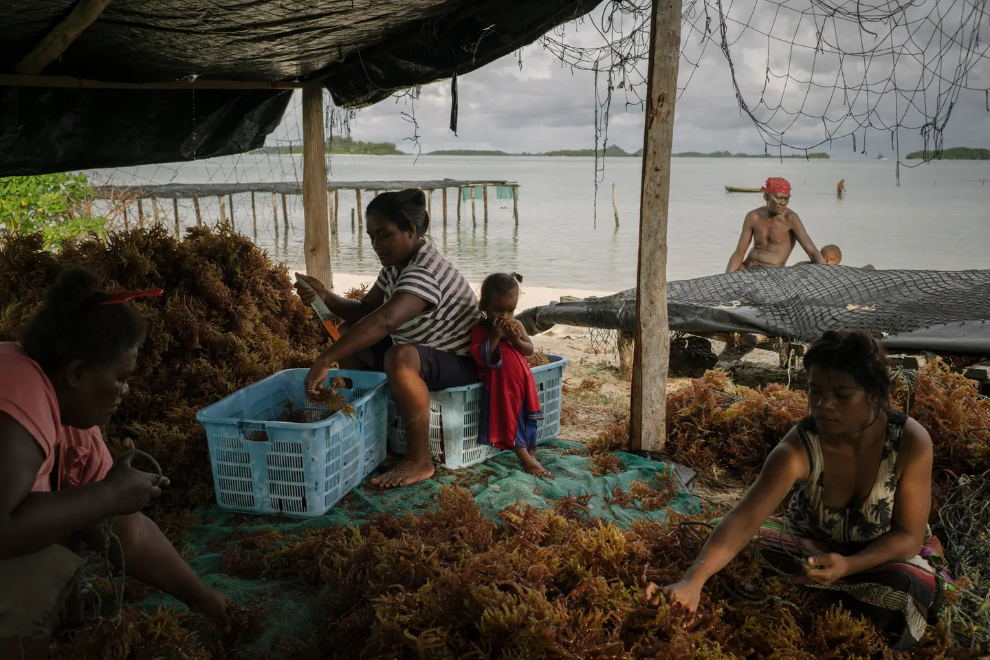 “People talk about these islands being vulnerable, and along with that they tend to treat the human beings as vulnerable, too,” said Dr.Simon Albert, University of Queensland in Australia. “But in my view, they’re the opposite — they’re strong and resilient."