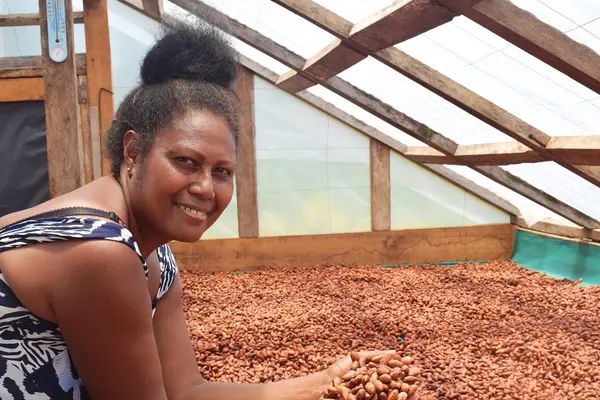 Lucy Kasimwane inspects cocoa beans in a solar drier on her farm in Makira.