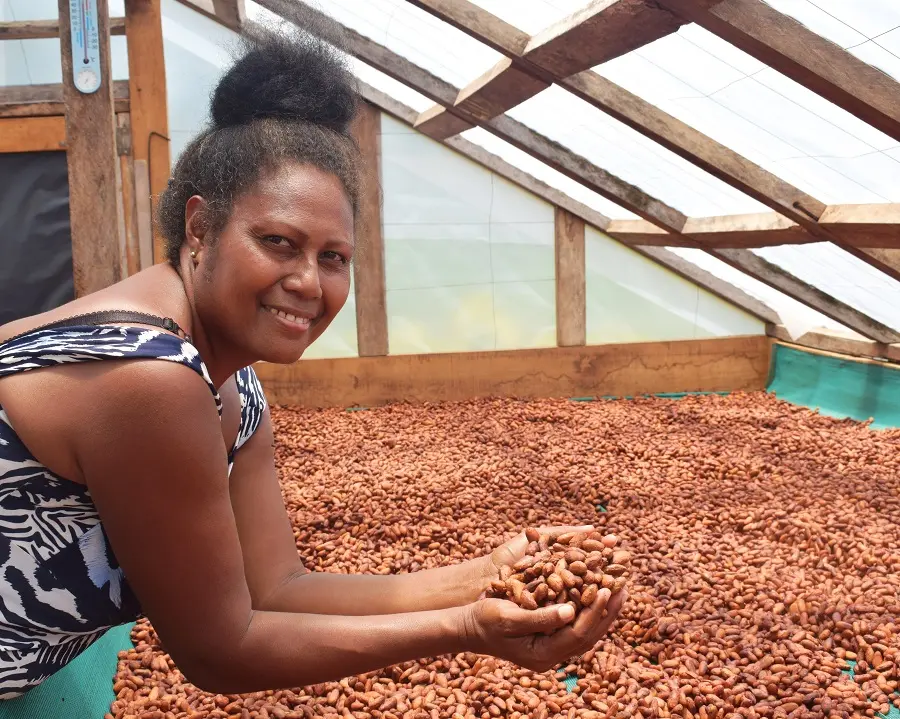 Lucy Kasimwane inspects cocoa beans in a solar drier on her farm in Makira.